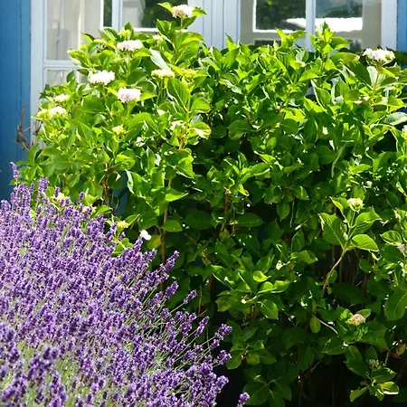 Fuerstenhaeuschen - Schloss Tatil Evi