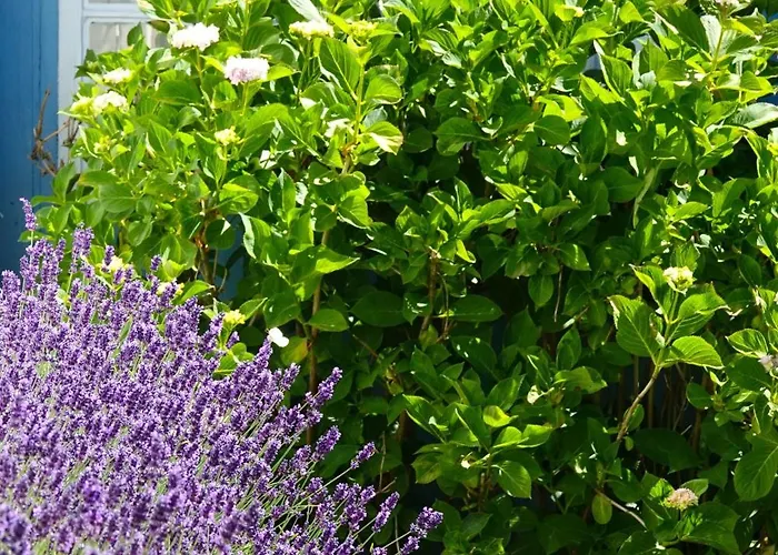 Fuerstenhaeuschen - Schloss 펜션